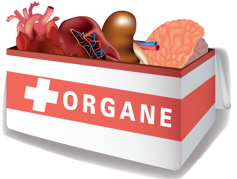 Organspende Referendum